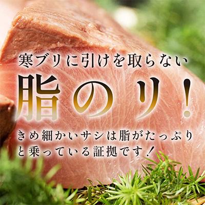 ふるさと納税 羅臼町 知床羅臼産 天然ぶり刺身 約750g(約250g×3パック) |  | 01