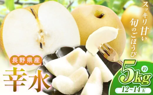 
            【先行予約】《寄附金額改定しました！》爽やかな甘みとシャリ感！長野県産 幸水 約5kg（ 12 ～ 14 玉 ）【８月下旬頃～発送予定】| 果物 くだもの フルーツ 梨 なし ナシ 幸水 シャキシャキ 甘い さっぱり ジューシー 長野県 塩尻市
          