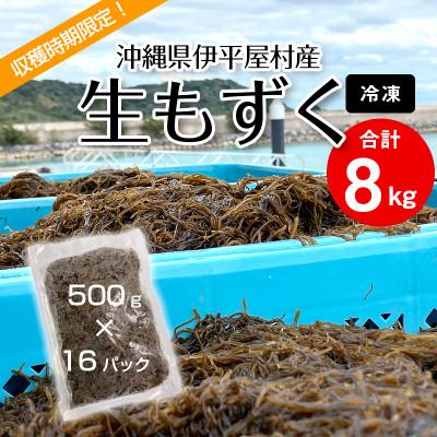 ふるさと納税 伊平屋村 【収穫時期限定!】冷凍 生もずく　8kg(500g × 16パック)