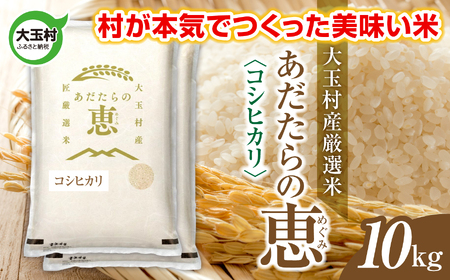 米 大玉村産厳選米「あだたらの恵」（品種：コシヒカリ） 10kg 《 令和7年産  》｜ 福島 大玉村 お米 米作り こしひかり 令和7年 精米 白米 こめ コメ ご飯 送料無料 大玉村農業振興公社 ｜ on-ak-10kg-r7