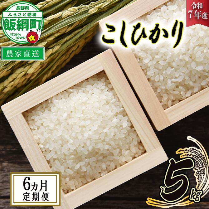 【ふるさと納税】 米 こしひかり 5kg × 6回 【 6か月 定期便 】( 令和7年産 ) 米澤商店 沖縄県への配送不可 長野県 飯綱町 【 コシヒカリ 白米 精米 お米 信州 】発送時期：2025年10月上旬〜 [お届け6回 (**)]