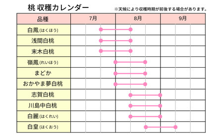 草間台の朝採れ白桃1箱 約2kg 6玉 【先行予約 7月下旬から発送】