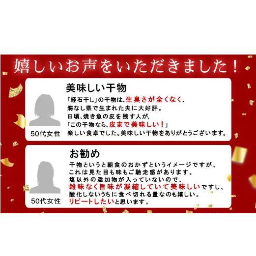 【定期便】 計6回 軽石干し北海道産ホッケ 2尾