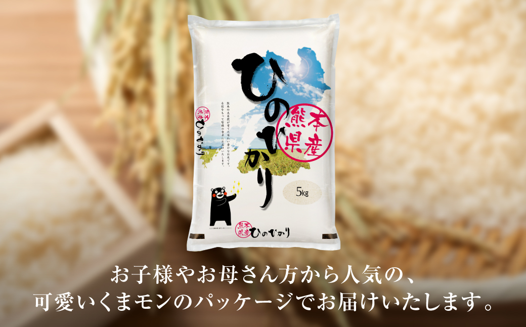 【令和6年産】 熊本県産 くまモンひのひかり 10kg （ 5kg × 2袋 ） 米 精米 白米 国産