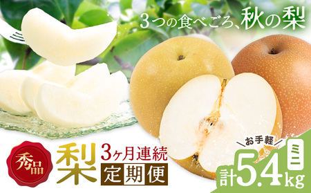 3ヶ月定期便 梨 計5.4kg 日本フルーツ株式会社 ナシ
