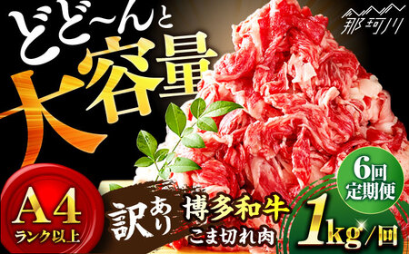 【全6回定期便】博多和牛 牛肉 切り落とし 大容量 1000g（500g×2P）＜株式会社MEAT PLUS＞那珂川市 切り落とし 切り落とし 切り落とし 定期便 切り落とし 定期便 [GBW014] 