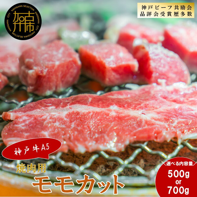 【ふるさと納税】【レビューキャンペーン】＼選べる内容量／【神戸牛A5】焼肉用 モモカット 500g 700g