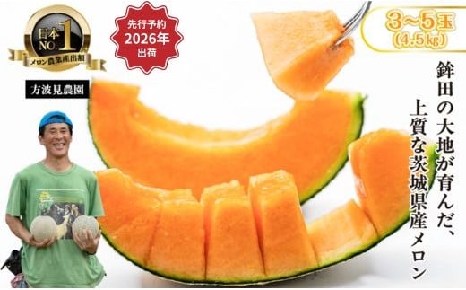 【来年2026年】先行予約！茨城県鉾田市産 むつみレッドメロン メロン めろん  3～5玉（総重量：4.5kg以上）｜方波見農園 《安心安全栽培》上品な甘さ 絶品 産地直送 赤肉 高級 おすすめ 人気 BMW農法 ジューシー 旬 大きい 甘い 国産 フルーツ 果物 ギフト プレゼント 贈り物