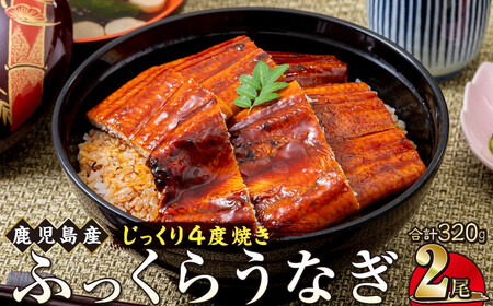 うなぎ 蒲焼 160g×2尾【鹿児島産】地下水で育てた絶品鰻｜うなぎ