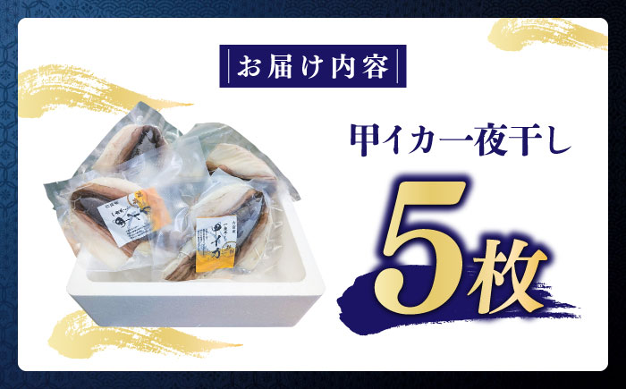 【2025年5月より順次発送】 甲イカ一夜干し 5枚 吉富町/吉富漁業協同組合 いか イカ 甲いか 干物 ひもの 魚介 加工品 おつまみ おかず レンチン 簡単調理 冷凍 [BGAW001] イカ