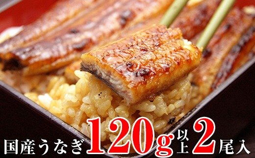 国産うなぎ蒲焼2本セット 120～149g