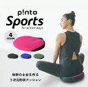 【ふるさと納税】p!ntoSports［Pink,Black,Blue,khaki］