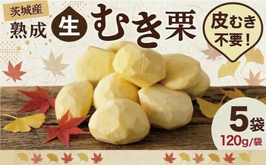 【先行受付】 栗 生むき栗 5袋 大粒 令和8年産 完熟 / 栗ごはん 栗スイーツ 2026年度産 国産 味覚 生ぐり 和栗 秋の味覚 マロン 焼き栗 ゆでぐり 料理 和菓子 炊き込みご飯 栗きんとん 数量限定 贈答 ギフト 旬 秋 冬 正月 おせち 茨城県 筑西市 関東