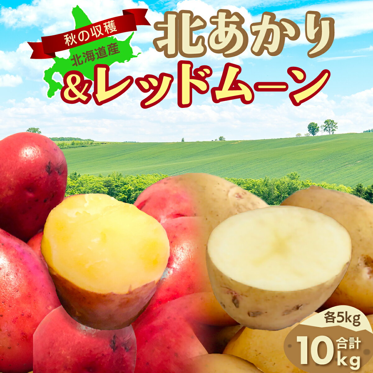 【ふるさと納税】【先行予約】秋の収穫北あかり、レッドムーン合計10kg（2025年9月15日以降発送）【 ふるさと納税 人気 おすすめ ランキング じゃがいも ジャガイモ 芋 いも イモ 北あかり レッドムーン 野菜 セット 詰め合わせ 詰合せ 北海道 網走市 送料無料 】ABAO085