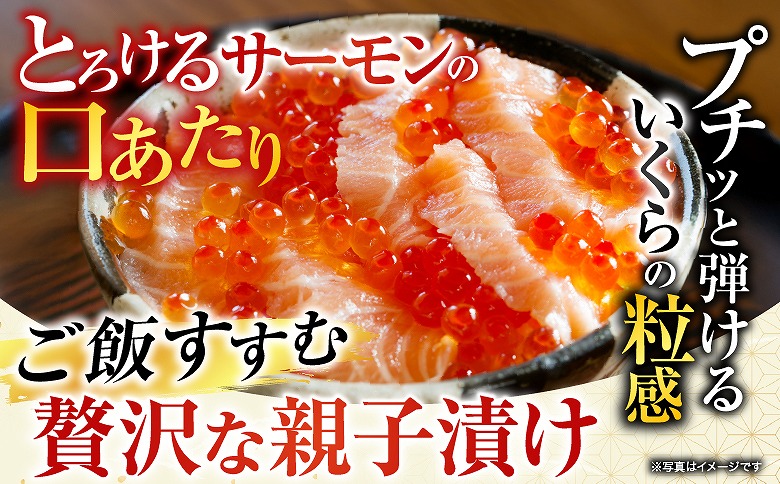 ＜鮭匠ふじい＞いくら・サーモンづくし C-42015