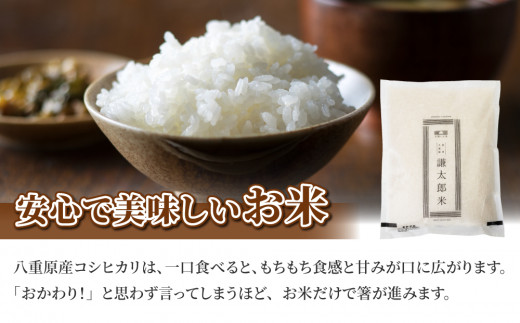 【令和8年産 新米】八重原産 コシヒカリ 白米「謙太郎米」1kg と 信州味噌「八重原味噌」500g セット｜特別栽培米（減農薬・減化学肥料栽培）／大桂商店 こうじいらず【太陽と大地】