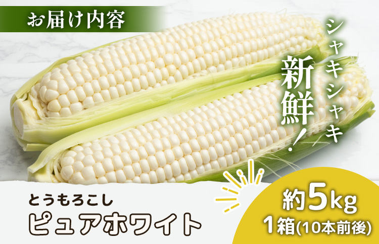 【2026年度発送分】上原農場直送　有機栽培とうもろこし (ピュアホワイト) 約5kg 約10本前後 | ふるさと納税 北海道 中標津 なかしべつ とうもろこし ピュアホワイト とうきび コーン 野菜