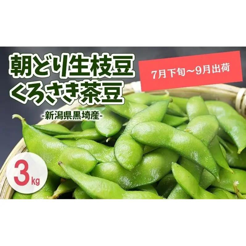 【7月下旬～発送開始】枝豆 3kg 朝採り新潟県黒埼産 枝豆