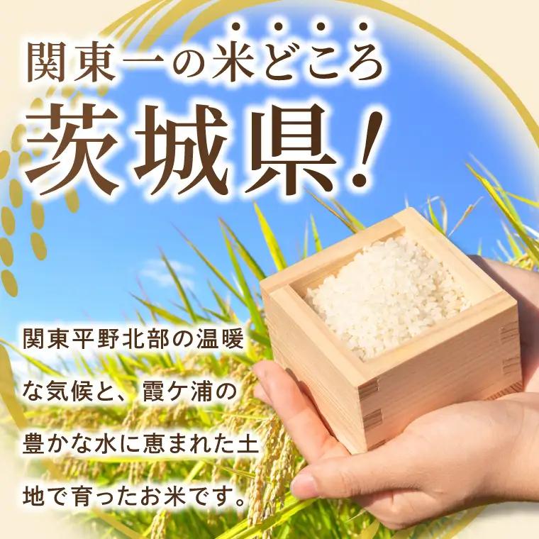 米 ミルキークイーン 精米 5kg 令和8年産 茨城県産 お米 こめ コメ ごはん 白米 みるきーくいーん 茨城県産米 単一米 単一原料米 送料無料 国産 数量限定（85-R8i253）