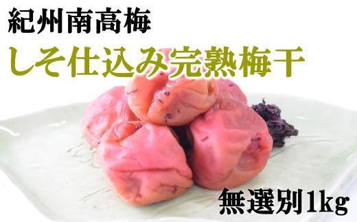 
紀州南高梅使用　しそ仕込み完熟梅干し 無選別1kg
