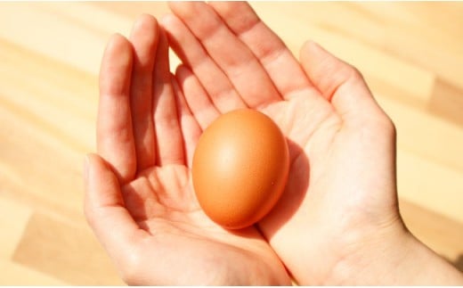 EA09 【栄養満点！】ニンニク卵黄【浅田峠自然塾】-3