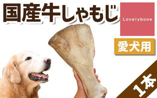 
【大型犬向け】国産牛しゃもじ
