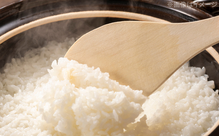 【先行予約】 無洗米 地産地消米 約5kg×2 合計約10kg 〈2025年8月中旬〜発送〉 【高知食糧株式会社】 高知県 高知市 無洗米 精米 お米 白米 ブレンド米[ATBL003]