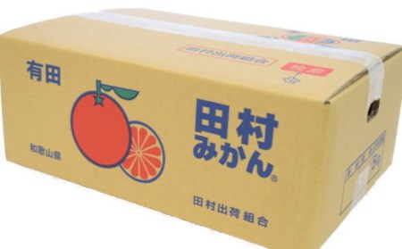 【ブランドみかん】田村みかん約5kg（2Lサイズ・秀品）※2024年11月下旬～12月下旬頃順次発送予定（お届け日指定不可）【tec882】