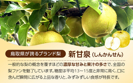 1255.【2026年度発送先行予約】訳あり　新甘泉　3kg