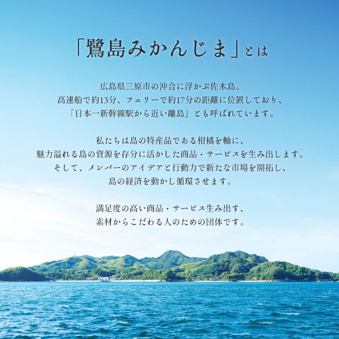 みかん【先行受付】【2026年1月末以降発送】 濃厚な甘さが特徴！青島みかん ＜約2.5kg＞ 広島 三原 佐木島 鷺島みかんじま 017053