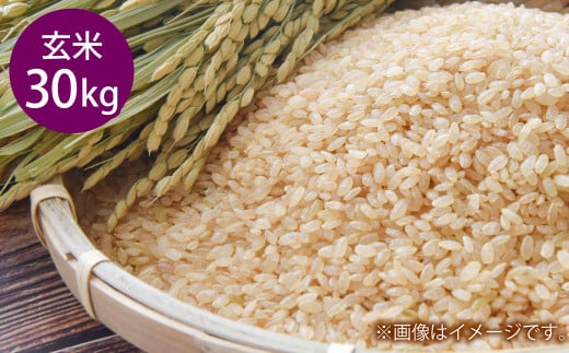 令和7年産 岡山県倉敷市産 きぬむすめ 玄米 30kg【2025年10月上旬より発送開始】