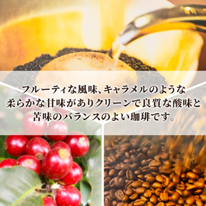 自家焙煎珈琲　シングルオリジン　グァテマラ　フロレンシア農園　200g 兵庫県 洲本市 淡路島         豆