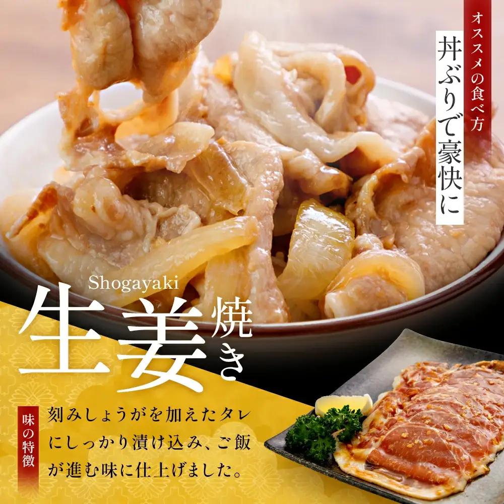 JAPAN X 味付ロース5点セット 生姜焼き3パック・山賊焼き2パック　豚肉 豚 ブランド豚 小分け ロース 豚ロース 味付 時短 生姜焼き 山賊焼き ジャパンエックス 蔵王 人気【04301-08