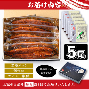 【E57005】＜定期便・計3回(連続)＞うなぎ蒲焼・大(有頭)(5尾・計800g以上×3回、タレ、山椒付)鹿児島 国産 鰻 うなぎ ウナギ 蒲焼き うな丼 うな重 ひつまぶし 土用の丑の日 真空パッ