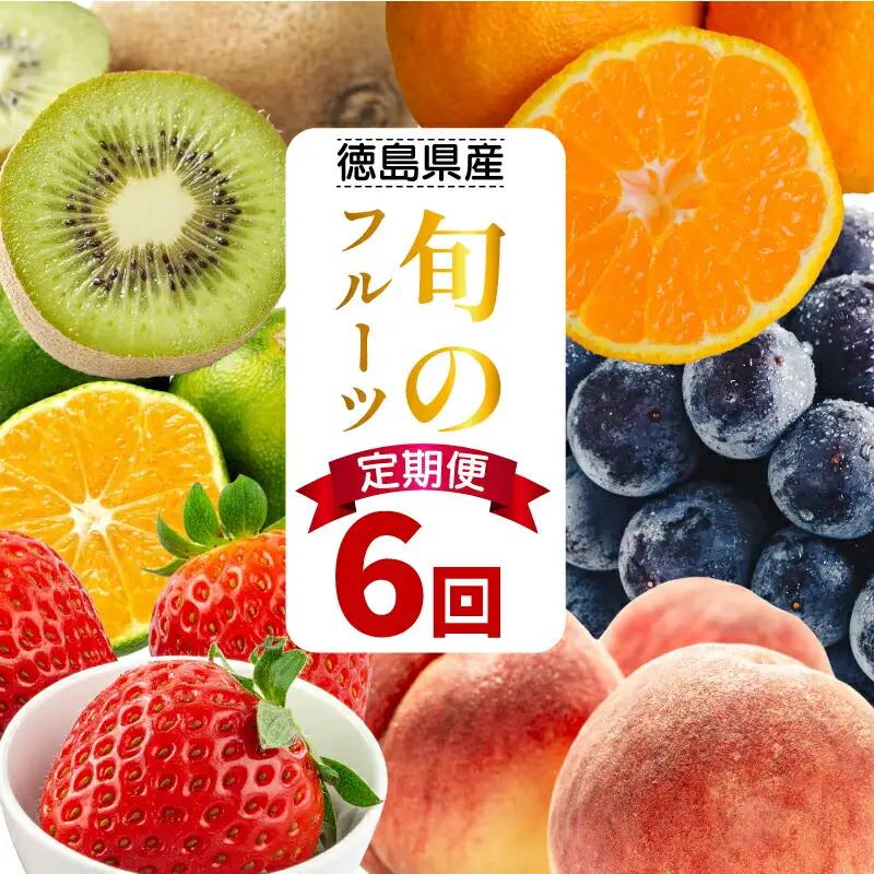 フルーツ 定期便 6ヶ月 フルーツ