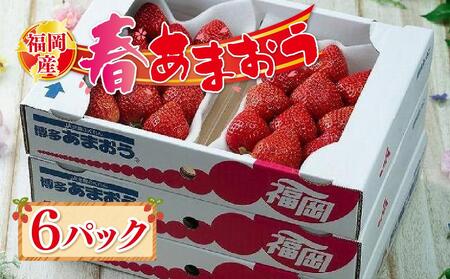 福岡産【春】あまおう6パック※一部離島不可【あまおう 苺 いちご イチゴ フルーツ 果物 くだもの 旬 明太子 めんたいこ 魚卵 卵 ご飯のお供 ギフト 贈答 甘い 美味しい 新鮮 福岡名物 福岡県 筑前町 ふるさと納税 あまおう 苺 いちご イチゴ あまおう 苺 いちご イチゴ あまおう 苺 いちご イチゴ あまおう 苺 いちご イチゴ あまおう 苺 いちご イチゴ あまおう 苺 いちご イチゴ あまおう 苺 いちご イチゴ あまおう 苺 いちご イチゴ】