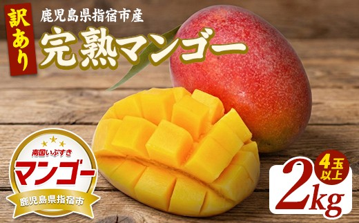 
                  【2026年発送】【訳あり】鹿児島県指宿産 完熟マンゴー約2kg (室屋植物園/IB163-004) 訳あり ご家庭用 完熟 フルーツ 果物 果実 デザート スイーツ 南国
                