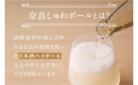 J-61 奈良しゅわボールセット（春鹿超辛口2本、古都華サイダー3本）