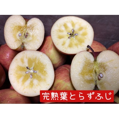 【2024年先行受付】サンふじ・王林　りんご100%ジュース詰め合わせ3kg【配送不可地域：離島・沖縄県】