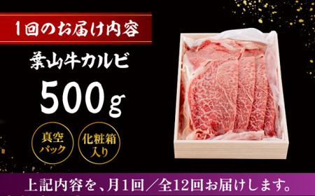 【全12回定期便】 葉山牛 焼肉用カルビ500g／ 牛肉 葉山牛 和牛 焼肉 カルビ 【有限会社葉山旭屋牛肉店】[ASAP040]
