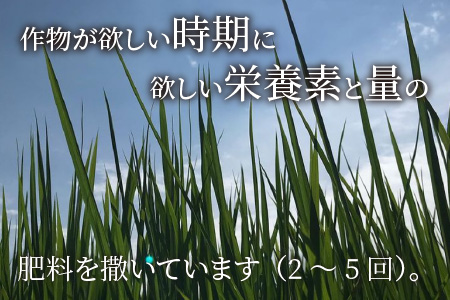 【令和5年産】【特別栽培米】福井県産 コシヒカリ 5kg ～化学肥料にたよらない 有機肥料100%～ ネオニコフリー（白米）[A-13403_01]