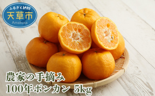 
                  S040-007_農家の手摘み100年ポンカン 約5kg〈先行受付〉
                