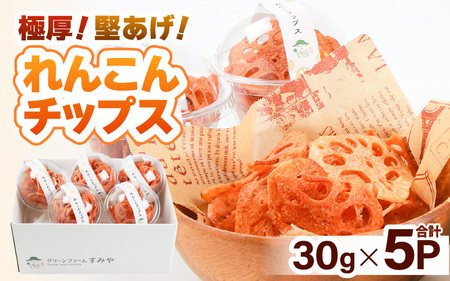 【先行予約】【極厚】堅あげ！れんこんチップス 5カップ ／ 腸活 お菓子 チップス れんこん 小分け おすすめ サクサク ※2025年11月上旬以降順次発送予定 [aw056-a016]