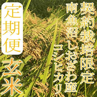 ふるさと納税 南魚沼市 【発送月固定定期便】【玄米15Kg】生産者限定 南魚沼しおざわ産コシヒカリ全9回 |  | 02