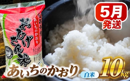 【5月発送】あいちのかおり 白米 10kg 米 お米 10kg 10キロ 白米 精米 コメ ご飯 ごはん 愛知県産 国産 県産米 国産米 あいちのかおり 発送 時期 選べる 産地直送 30000円 3万円 令和7年 愛西市 / 脇野コンバイン [AECP002-8]