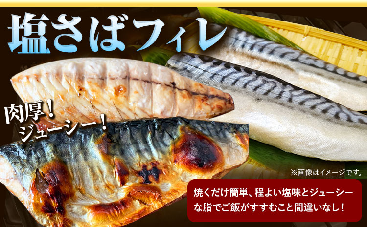 【ご家庭用訳あり】人気の塩さばフィレ＆紅鮭切身セット 計1kg 株式会社魚鶴商店《30日以内に出荷予定(土日祝除く)》 和歌山県 日高町 鮭 さけ 紅さけ 切り身 さば 塩さば 焼き魚 焼くだけ 簡単