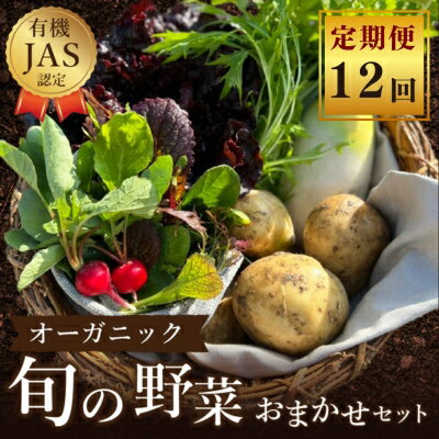 【ふるさと納税】 野菜 詰め合わせ 定期便12回／よしむら農園 オーガニック おまかせ野菜セット 定期配送 安全 旬の野菜 オーガニック野菜 有機JAS認証農園