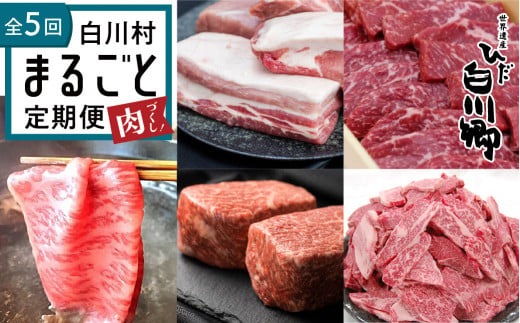 
白川郷 まるごと定期便 全5回 お届け 肉づくし ローススライス 結旨豚 ブロック肉 飛騨牛ブロック肉 焼肉用 もも肉 切り落とし 5種類 100000円 10万円 定期便 飛騨牛 豚肉 国産 牛 豚 焼肉 しゃぶしゃぶ [S249]
