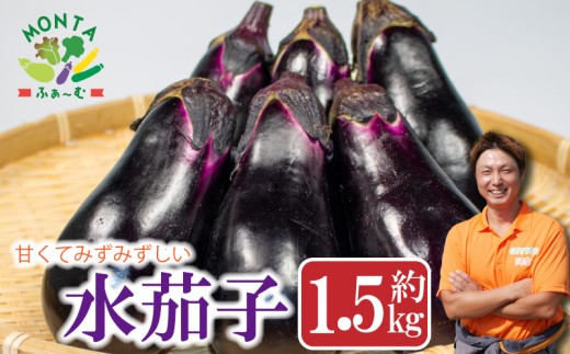 【先行予約】 野菜 水茄子 約1.5kg なす なすび 茄子 夏野菜 野菜 やさい 漬物 味噌汁 サラダ スープ カレー 麻婆豆腐 和食 洋食 中華 おかず おつまみ 惣菜 弁当 日用 ギフト 贈り物 プレゼント 焼肉 アウトドア BBQ 朝採れ 新鮮 産地直送 健康 美容 冷蔵 送料無料 徳島県 阿波市 MONTAふぁ～む