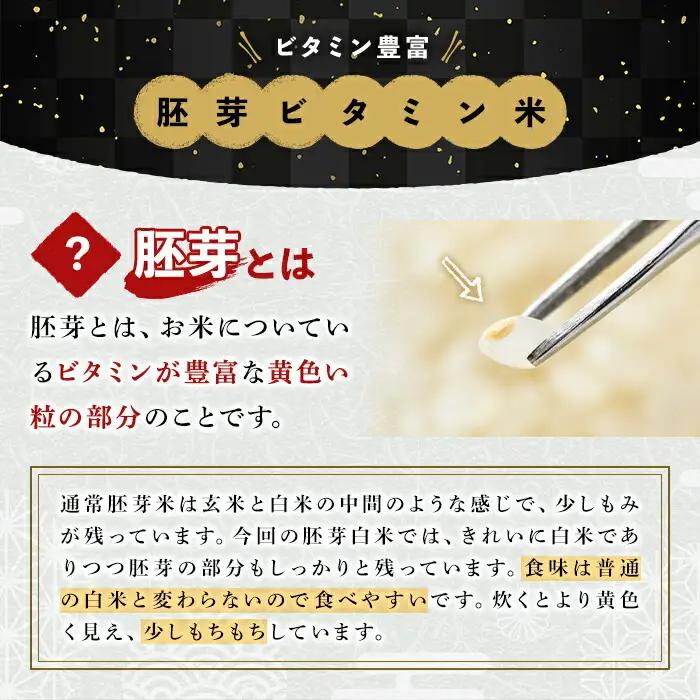 ＜令和7年産＞大分県産ひのひかり 胚芽ビタミン米(計6kg・3kg×2パック)米 お米 ひのひかり ヒノヒカリ 白米 真空パック 大分県産【107800202】【お米の鈴木】